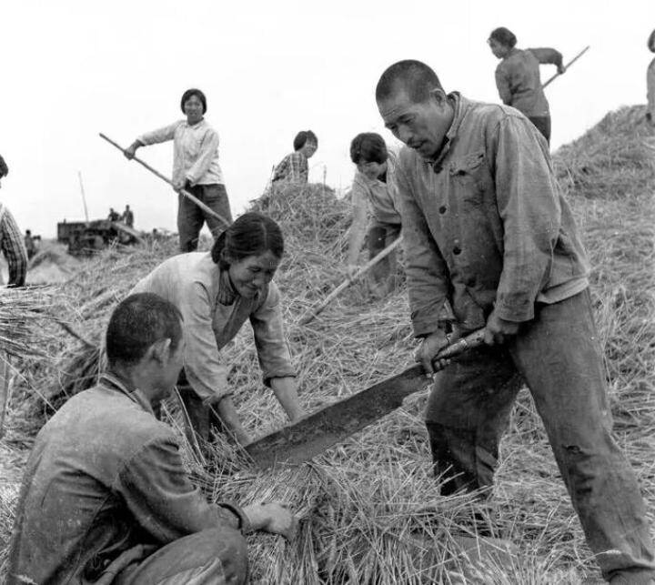 生产队时期出行有多贵?看了五十年前的车票、船票和机票才明白